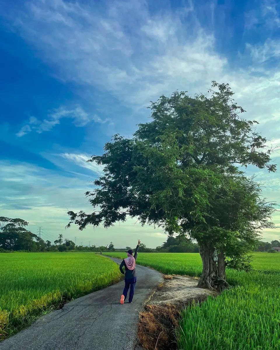 PerlisPermai's tweet photo. SALAM PERLIS
01 November 2022 | 06 Rabiulakhir 1444H
📷 Santai Pagi @ Arau, Perlis, Malaysia
Kredit Foto : IG @zuamusa
Ikuti kami : https://t.co/LrkwMTWvly
#PerlisPermai💛💙 #SelamatPagi🌄 #SalamPerlis #Perlisku #PerlisRumahku #Malaysia🇲🇾 https://t.co/2acmdvBdWs