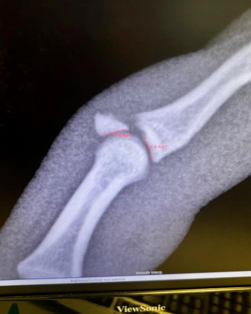 Dylan Kissen tweet media