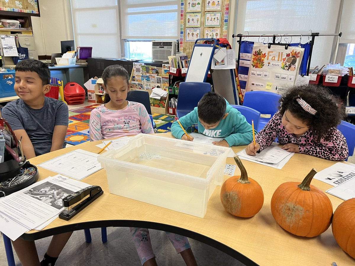 Ss investigated and made predictions on whether or not small, medium, and large pumpkins float or sink. They also made predictions on pencils,paper and other school supplies.They had a blast and got to take home pumpkins <a href="/24Kath/">Kathy Connolly</a> <a href="/evedaza91/">Dr. Evelyn Perez-Daza</a> <a href="/CZawatson/">Cristine Zawatson</a>