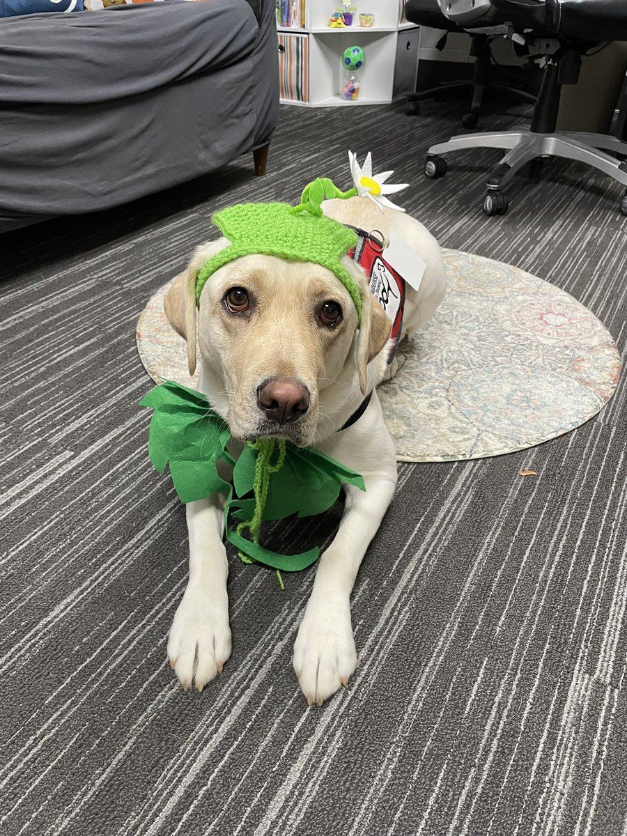 Melissa Palmeri tweet media