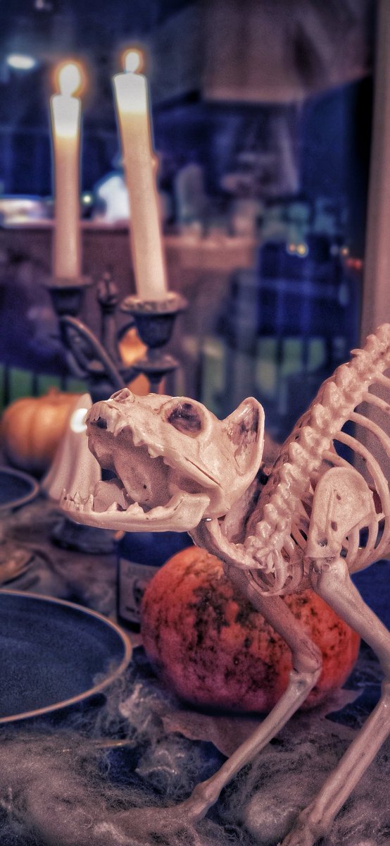 yoalad's tweet photo. #Halloween https://t.co/Vl1vNDL869
