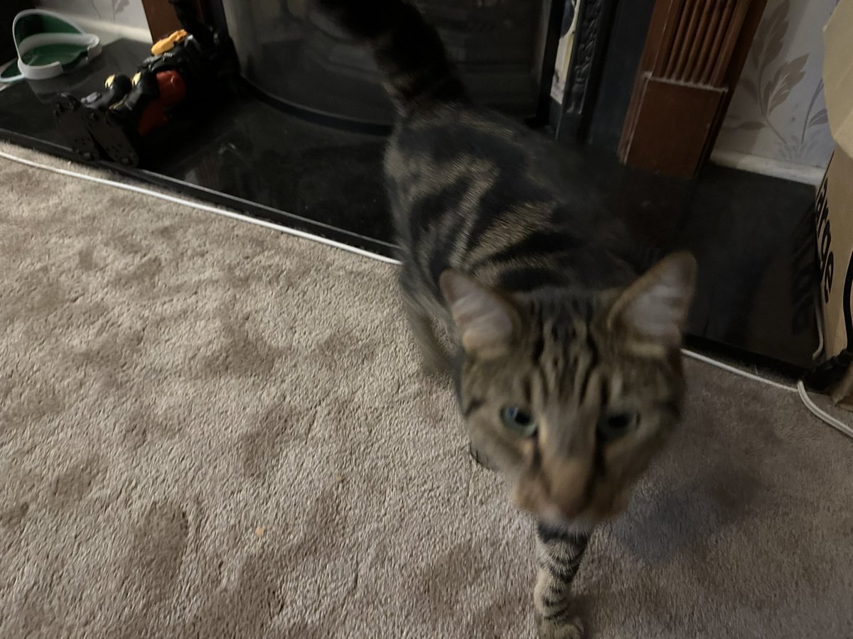 @gsb@hachyderm.io tweet media