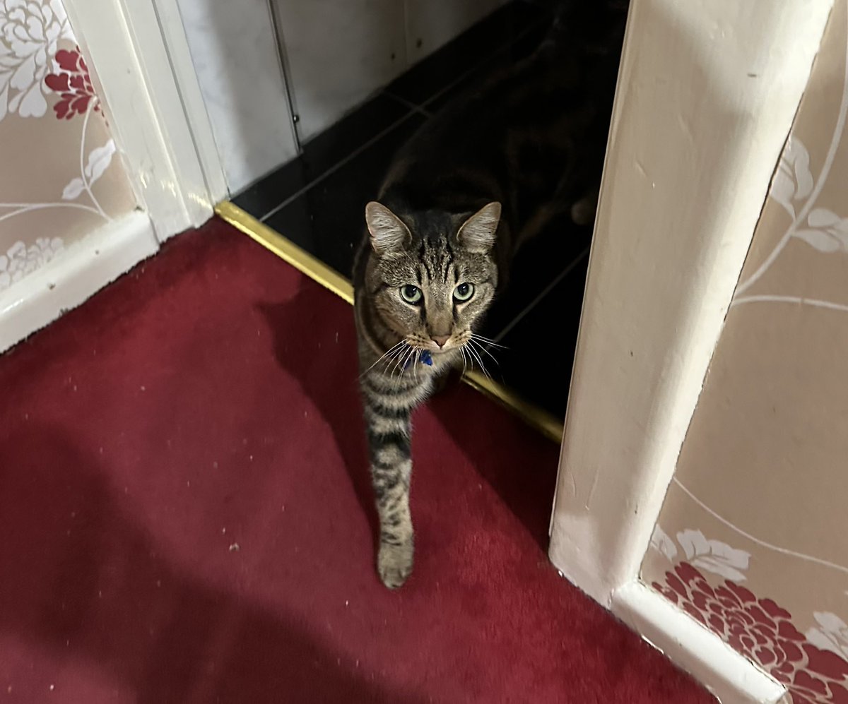 @gsb@hachyderm.io tweet media