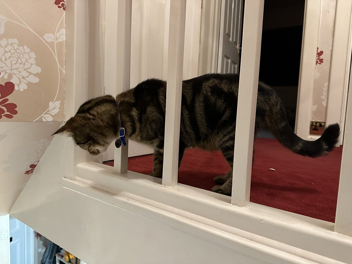 @gsb@hachyderm.io tweet media