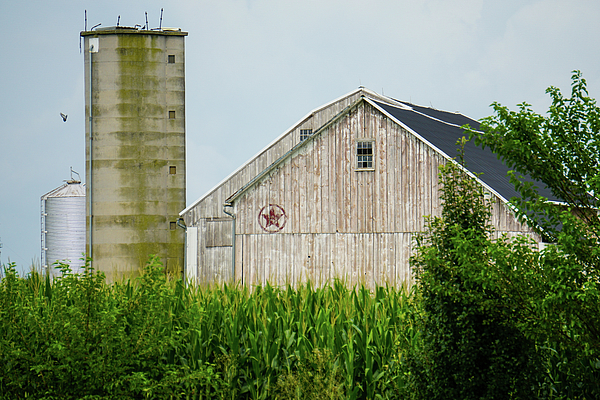 New artwork for sale! - "Farm Shapes and Bird" - fineartamerica.com/featured/farm-… <a href="/fineartamerica/">Fine Art America</a>