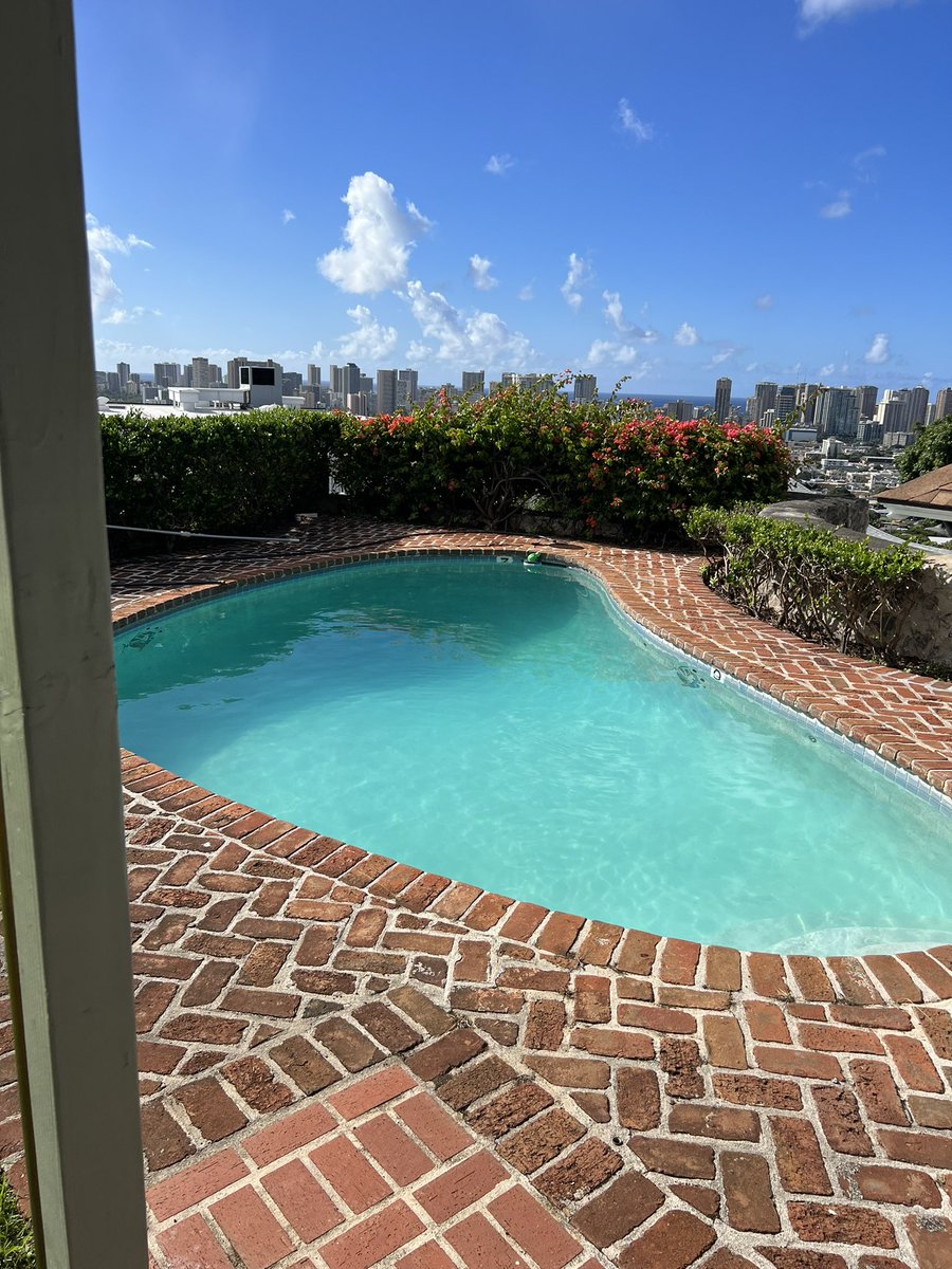 Kailanipools's tweet photo. From monster to a usable pool in 3 days #honolulupoolservice #kailanipools https://t.co/uvZcIOahOH