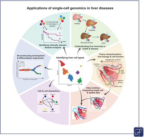 Seminars in Liver Disease (@seminliverdis) on Twitter photo See this review on the current applications of single cell technology: “Unraveling the Complexity of Liver Disease One Cell at a Time” by Drs. Atif, Thoeni, MacParland et. al: bit.ly/3gul7v7
#LiverTwitter
<a href="/rabataller/">Ramon Bataller</a>
@DrPMonga See this review on the current applications of single cell technology: “Unraveling the Complexity of Liver Disease One Cell at a Time” by Drs. Atif, Thoeni, MacParland et. al: bit.ly/3gul7v7
#LiverTwitter
<a href="/rabataller/">Ramon Bataller</a>
@DrPMonga