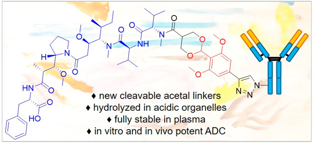 BioconjChem's tweet photo. Rady et al. @unistra presented a cyclic #acetals that exhibited excellent plasma stability and acid lability. Incorporating in #ADC afforded constructs with similar in vivo efficacy as the commercially available ADC #Kadcyla in mouse xenograft models. https://t.co/Vnf76SVAVC https://t.co/RvIw3f7NVr
