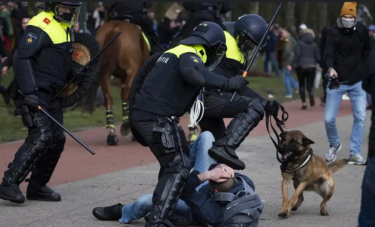 P.D. Mangan Health & Freedom Maximalist 🇺🇸 tweet media