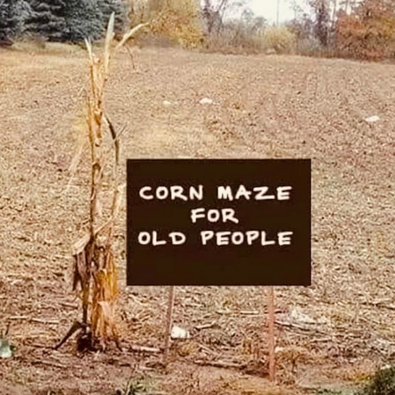 knightillusions's tweet photo. Here's a corn maze anyone can do. 🌽🤣 https://t.co/GuSeB2yFHC