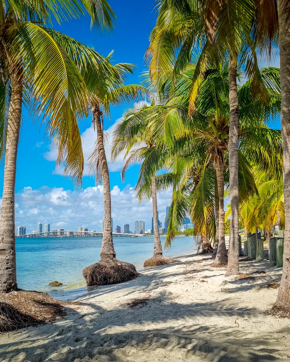 larslowinski's tweet photo. Going to miss this view from #VirginiaKey today before heading back to an increasingly autumnal looking central Europe this week. #MiamiFL https://t.co/0R7ol6IXNL