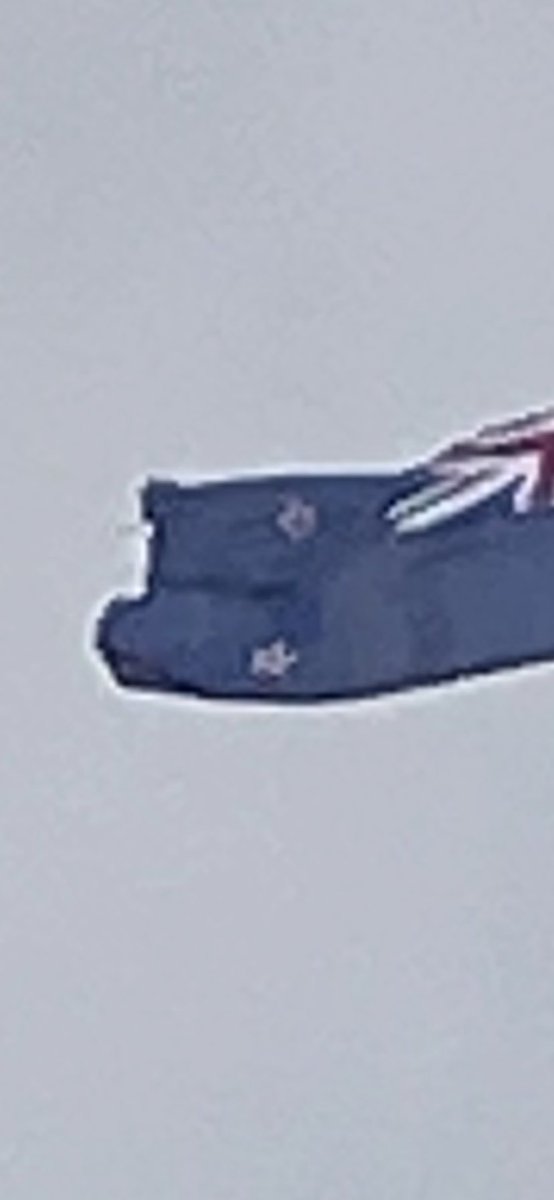 winstonpeters's tweet photo. This is the flag flying over parliament this morning - tattered and fraying at the edges. 

Our flag, flying above our parliament, should be a symbol and representation of our country. 

How on earth can New Zealanders accept this disgrace and insult from our government. https://t.co/J0bMuvPfrO