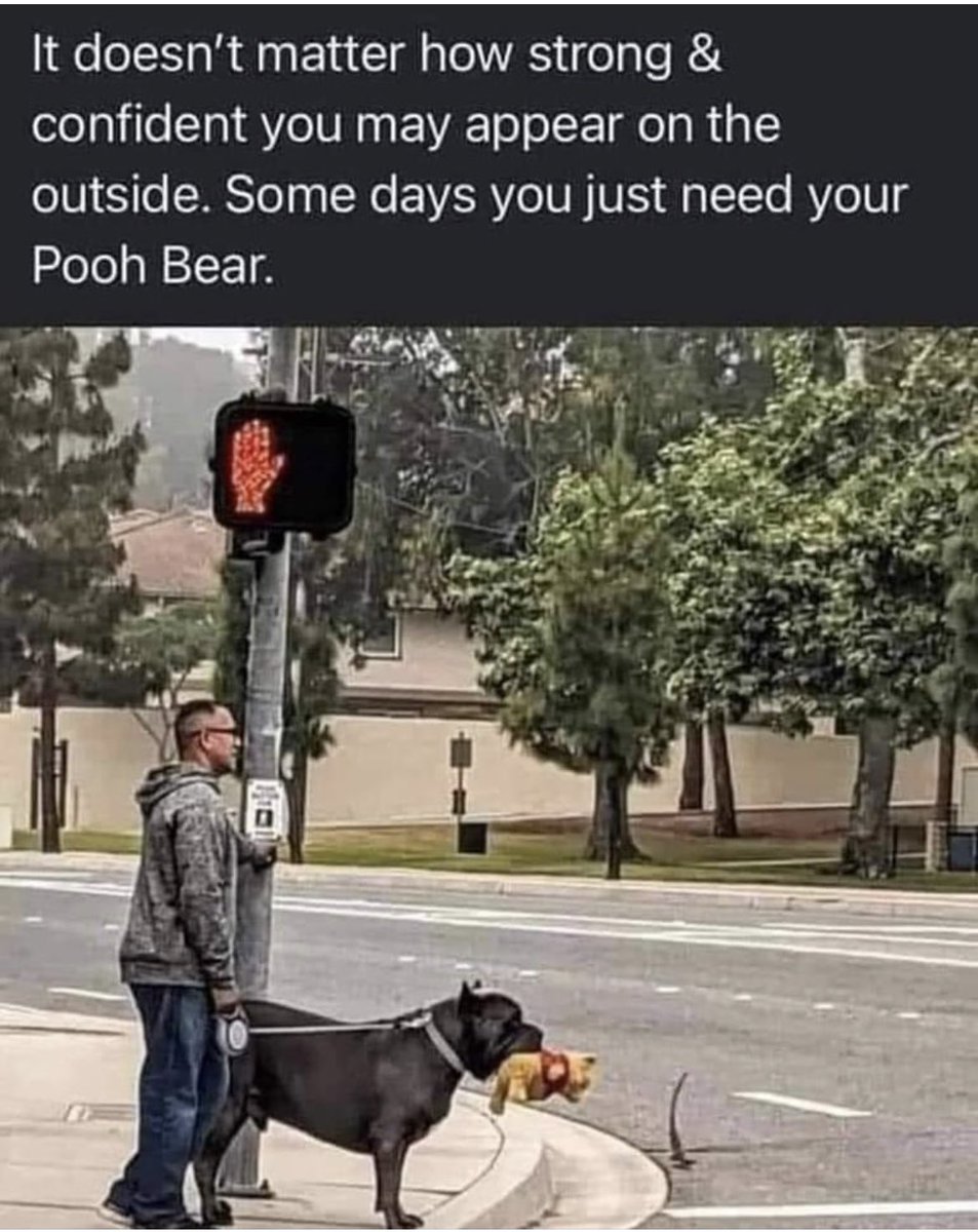 TaraKfoury's tweet image. Some days are Pooh Bear Days. Thank you for the reminder @PTSDprojects #ptsdprojects #rivereducationalconsulting