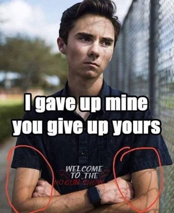 David Hogg says we should all disarm.