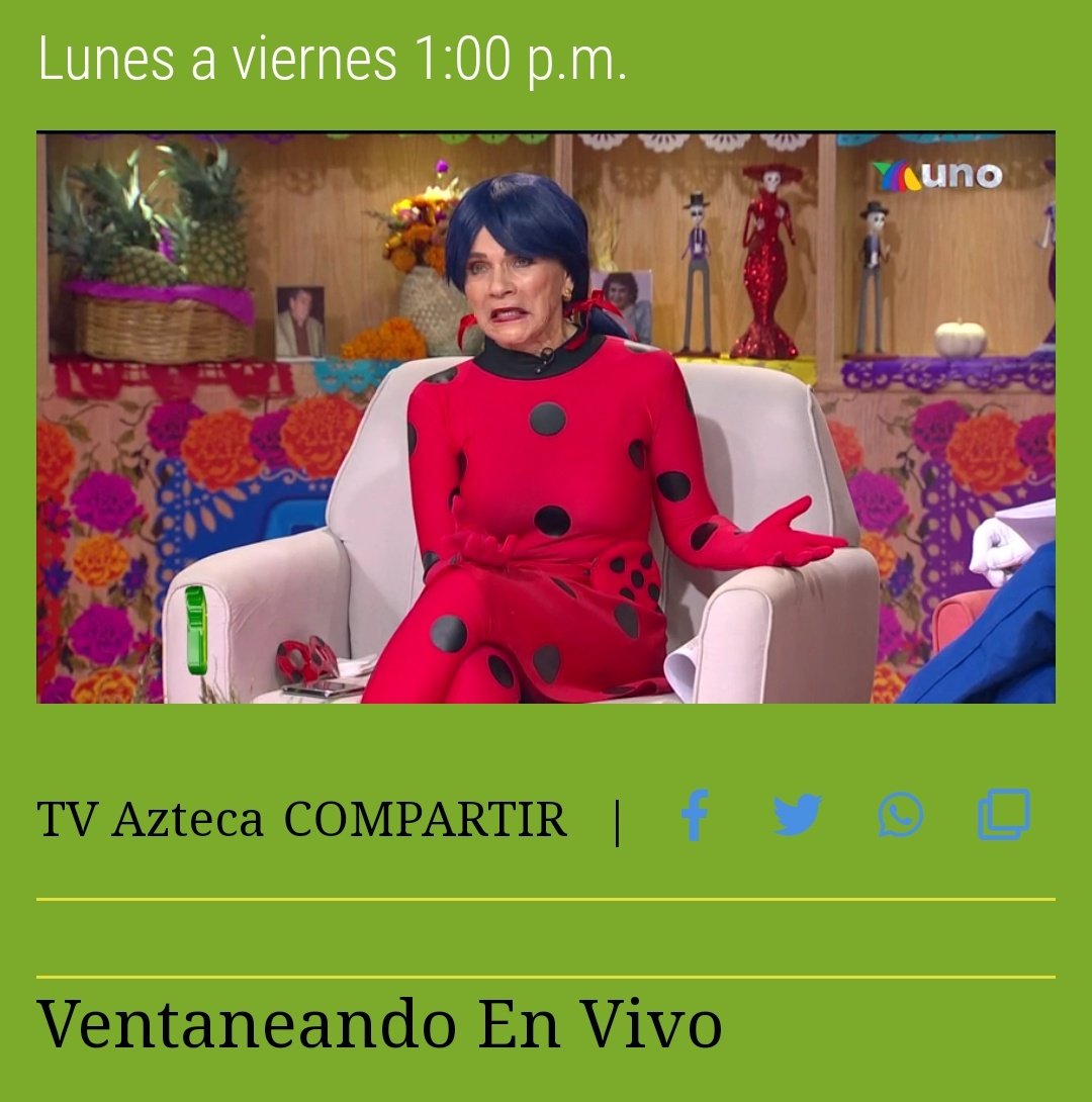 cAMYlizer97 tweet picture