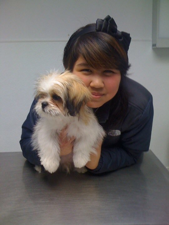 idkerine's tweet photo. thank you for the last 12 years, my mushu 🤍 https://t.co/bacdlUONGO