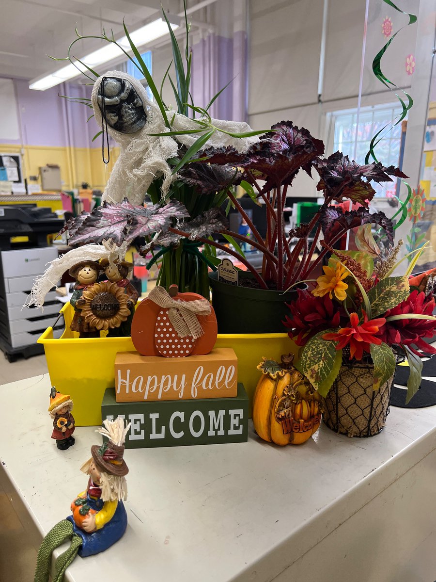 P.S. 203 tweet media