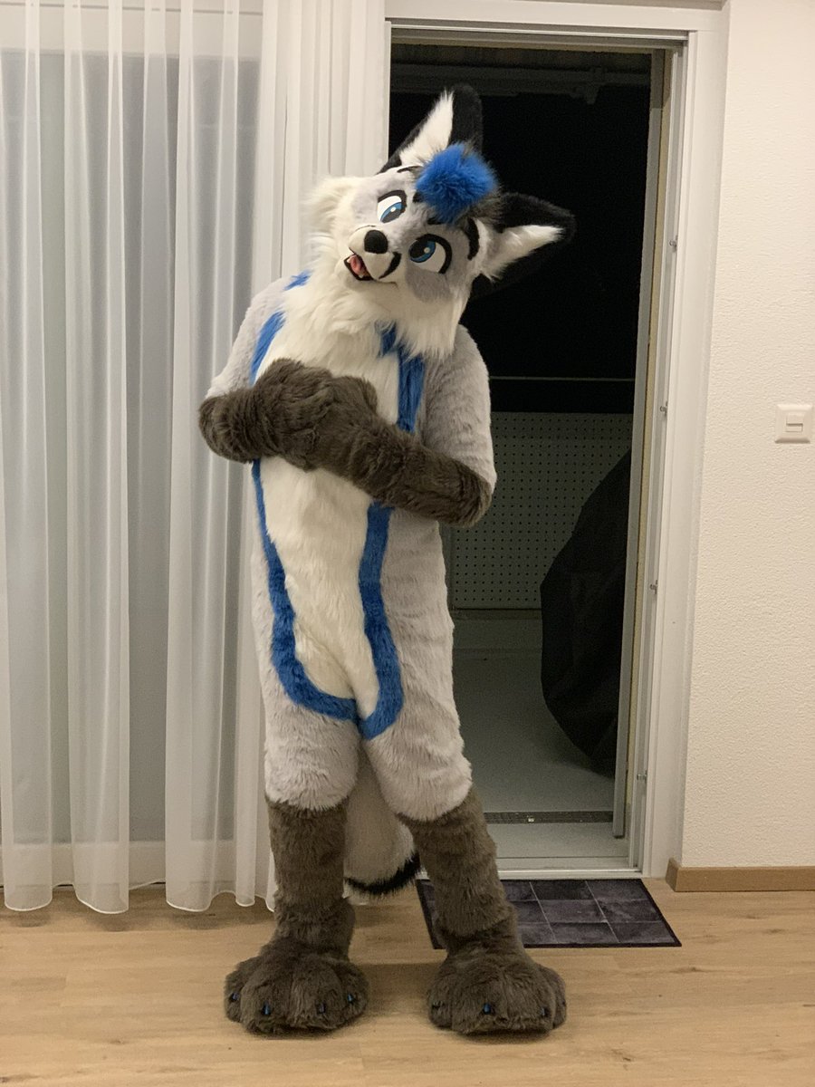 Halloween is no thing here. Still kids are doing it. Stood on the balcony for fun. They wanted a fox to come out. Foxy did. They ran away super scared as soon as they saw me. Foxes are scawwy? :(