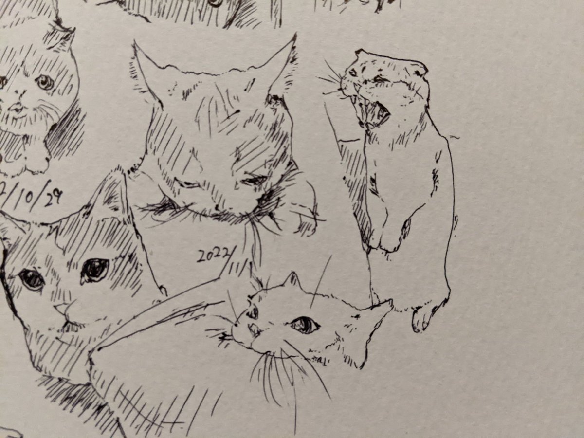 あと今年も2ヶ月なのー!? カキカキ。 