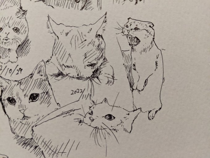 あと今年も2ヶ月なのー!? カキカキ。 