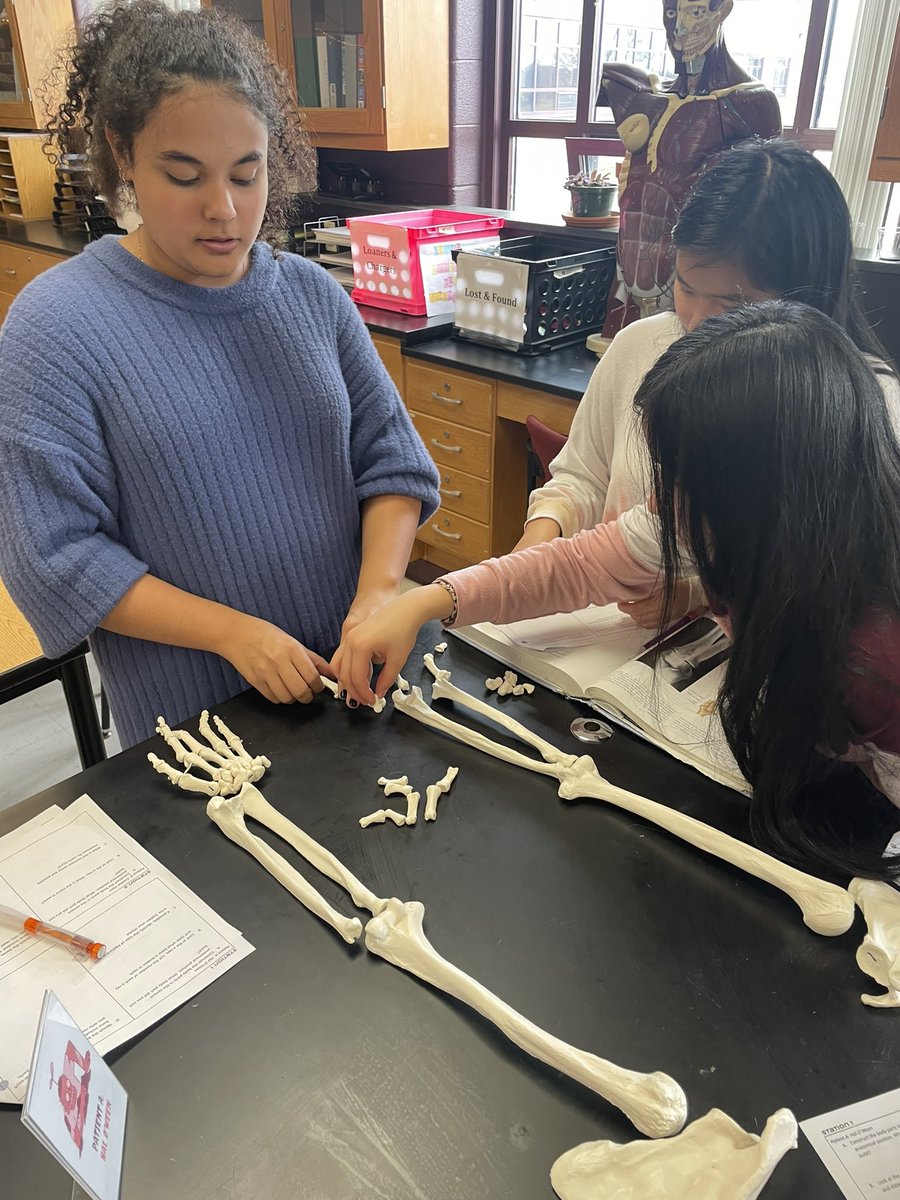 MrsMurphyRBCHS's tweet photo. Halloween is every Anatomy teacher’s favorite holiday! Students arranged and identified skeletal remains, studied x-rays to determine type of fracture, and modeled 1 of 4 types of wounds. They rocked it! #RBCHS #RBscience #itsrocketscience #NGSS #classof2023 #anatomyteacher https://t.co/0laRaPGkvq