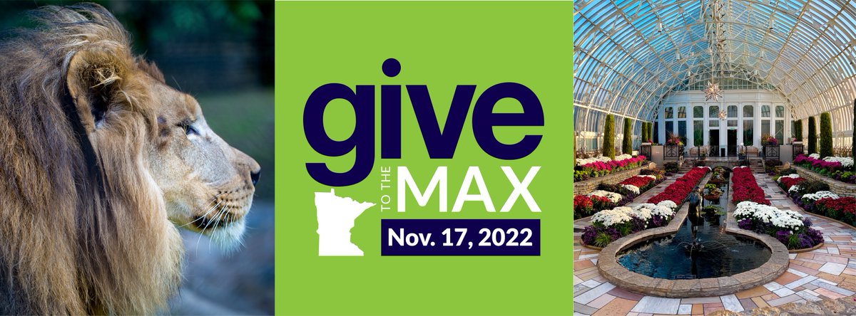 Como Friends tweet media