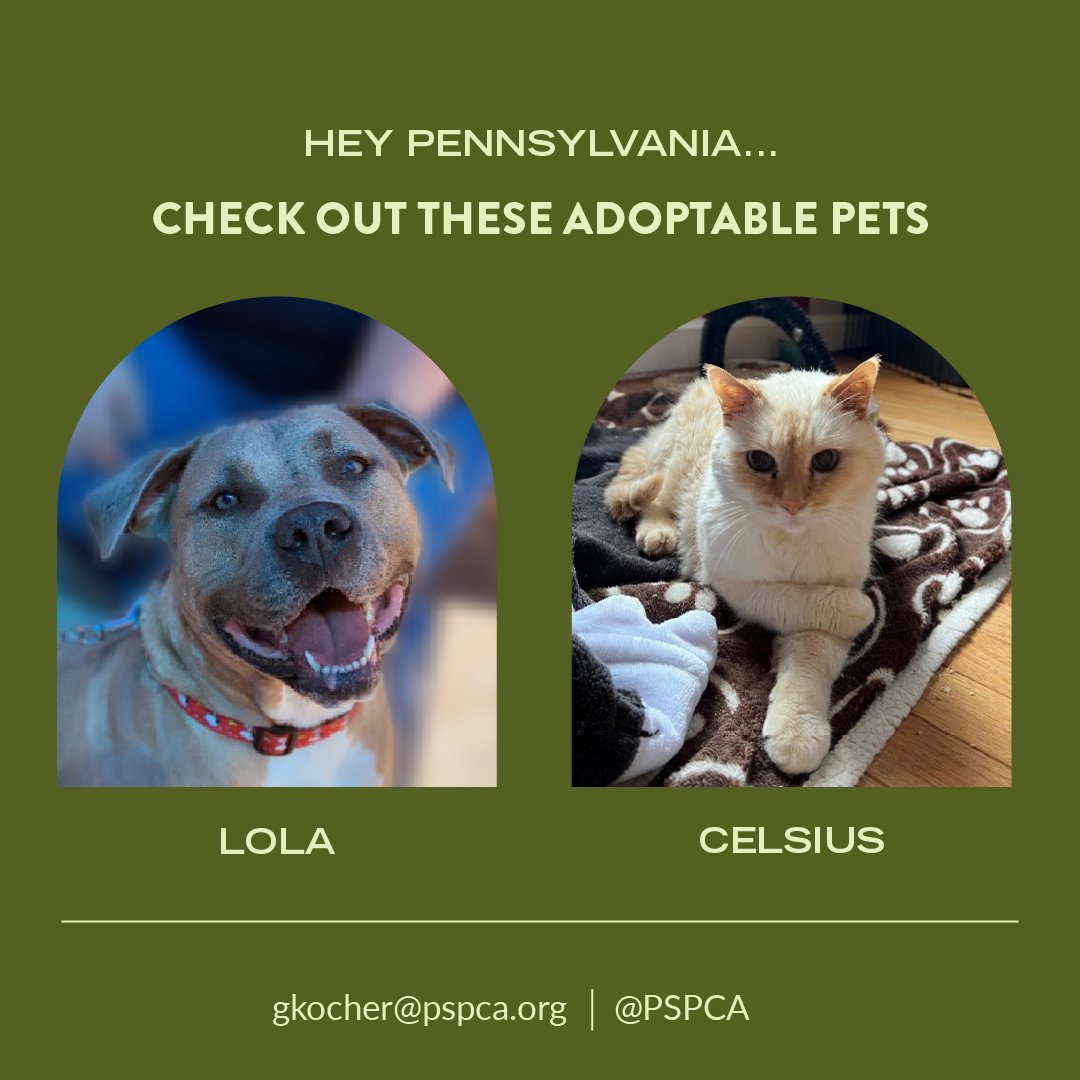 Freshpet (Freshpet) / Twitter