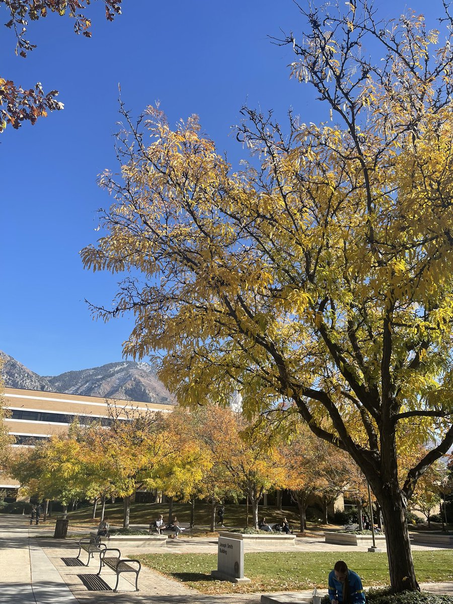 GraceCh21052551's tweet image. 1. Fall fun! #Comms321