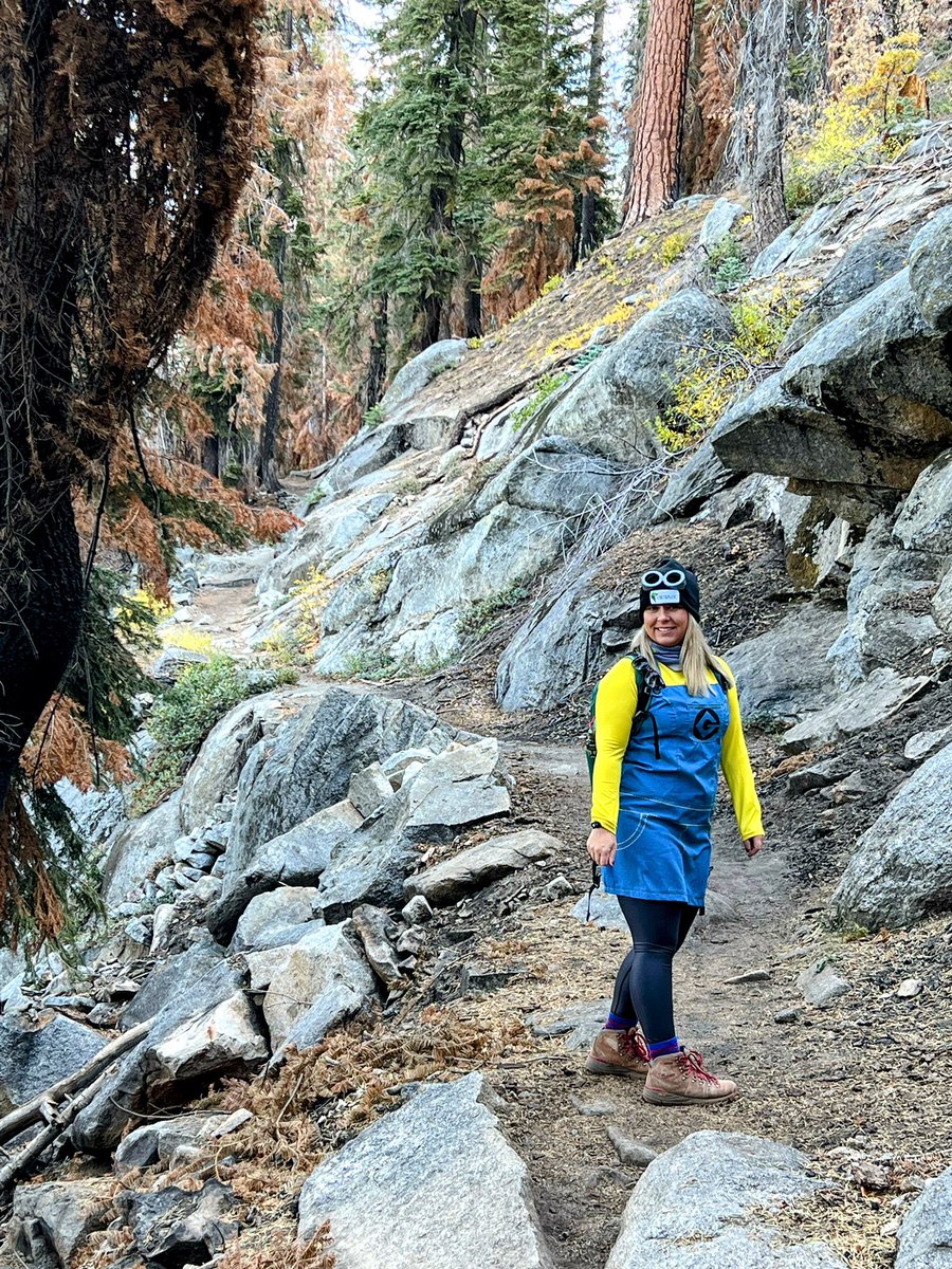 OkwahoOutfitter's tweet photo. A #HalloweenHike in @SequoiaKingsNPS today was in order! 

#HappyHalloween #SequoiaNationalPark #HikeCalifornia #HikingCulture #LittleBaldyTrail https://t.co/9CpxFcm6gh