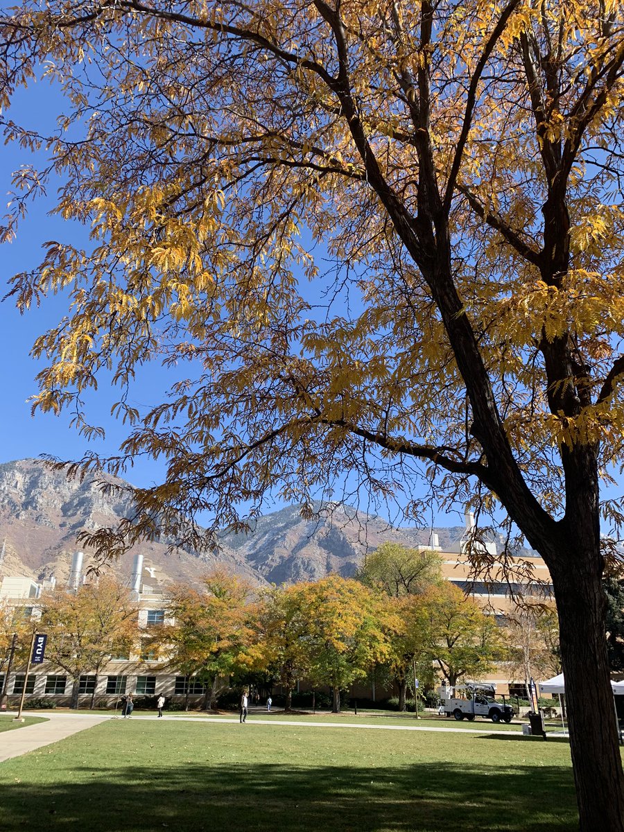 rob_morr2's tweet photo. Fall leaves on campus with Y mountain in background #COMMS321 https://t.co/nS8nKQ4DY5