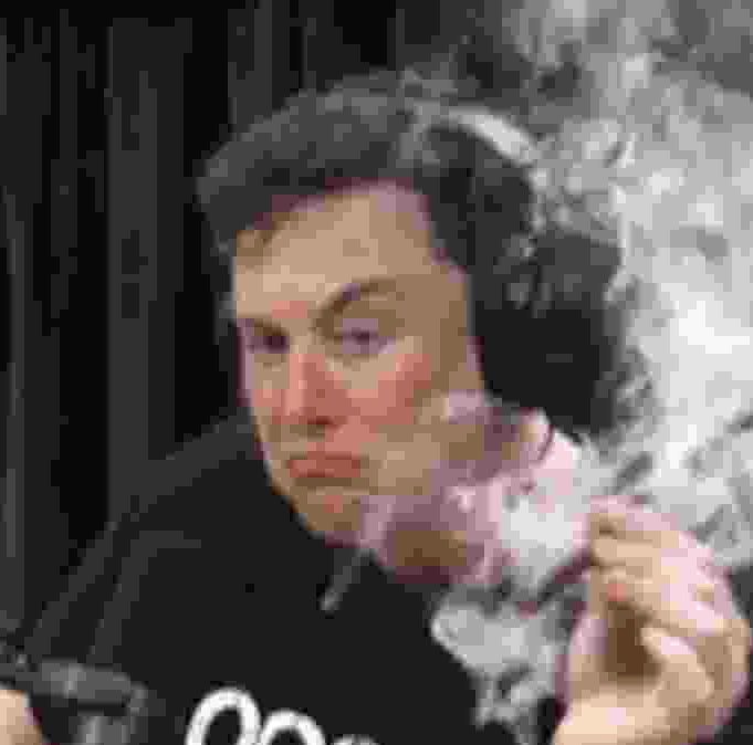 matt sarnoff tweet media