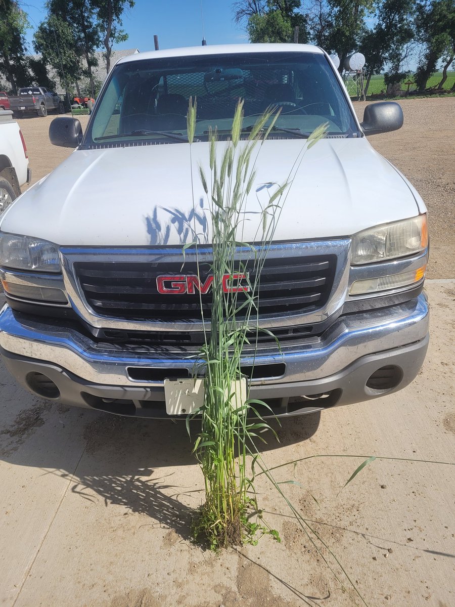 2007 GMC Sierra 2500 extended cab work truck was stolen from our yard last night. Homemade headache rack and tool box on the back. Retweets appreciated