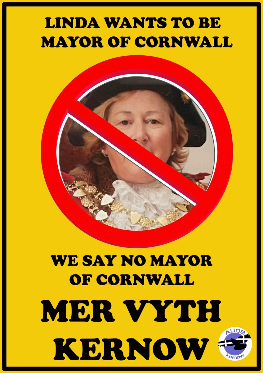 No to a mayor of Cornwall