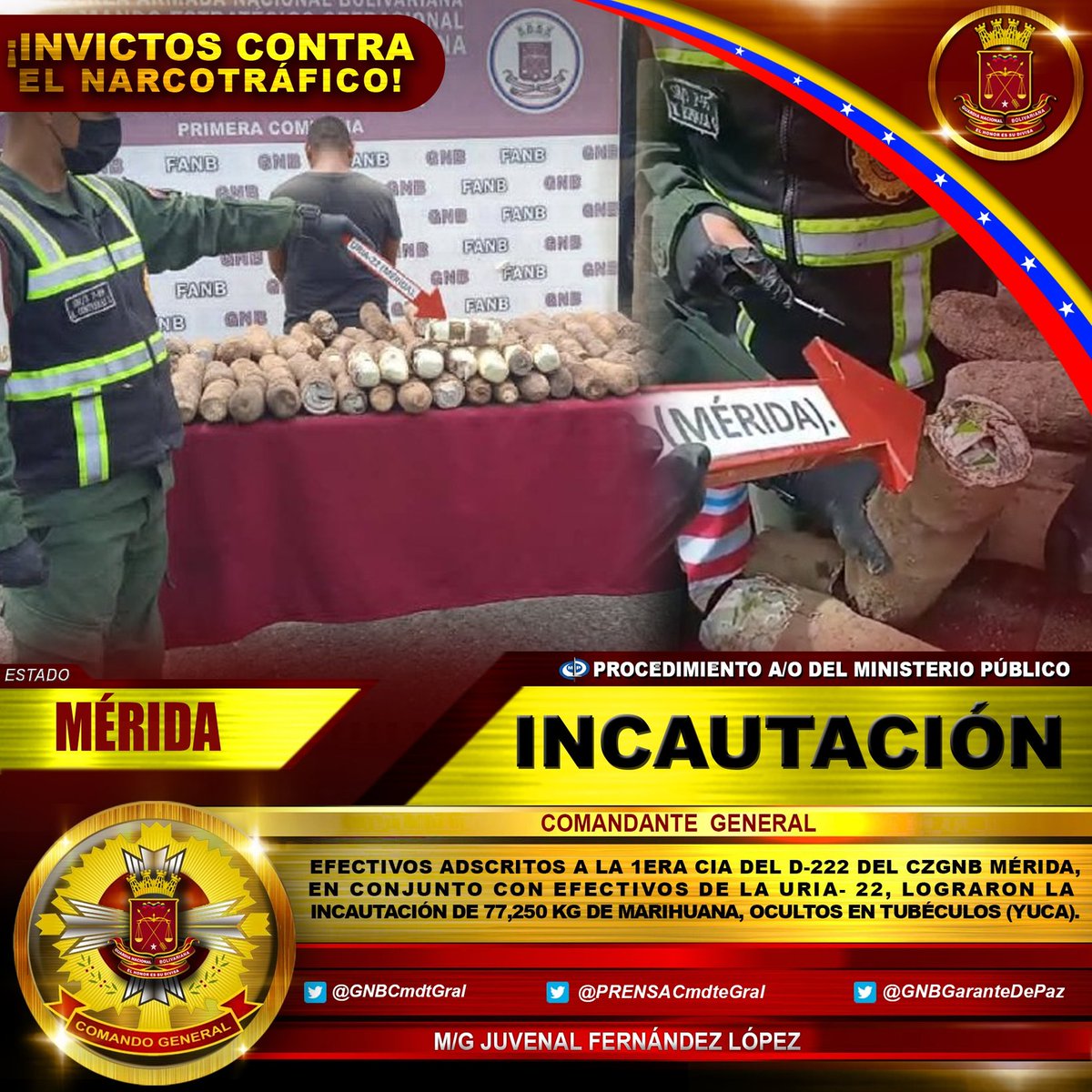 ¡GOLPE AL NARCOTRÁFICO! 👊 Efectivos adscritos al @CZ22MERIDAGNB en conjunto con efectivos de la URIA 22, practicaron la aprehensión de un ciudadano, tras incautarle 77,250 Kg de Marihuana. Procedimiento A/O del @MinpublicoVEN