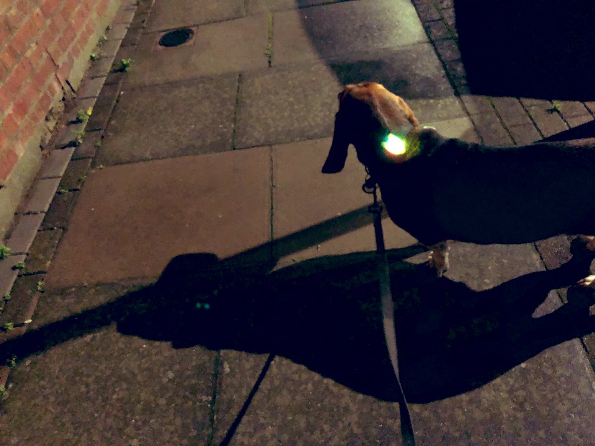 LinaHound's tweet photo. I just had a little skeleton run away from me. It was scared. It’s spooky season.
#bigshadow #Halloween #spooky https://t.co/6PnD97RlbN