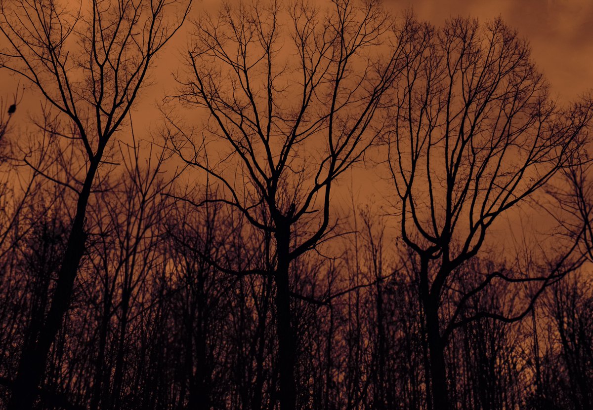 Witchcraft...

#photography #photo #photooftheday #Samhain #Halloween #Happy_Halloween #HappyHalloween