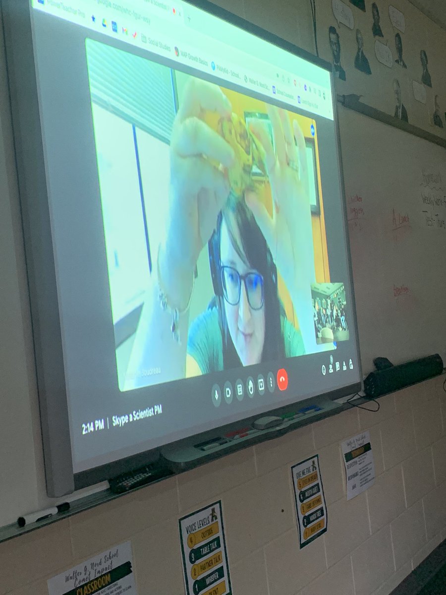 Mrs. Kinser tweet media
