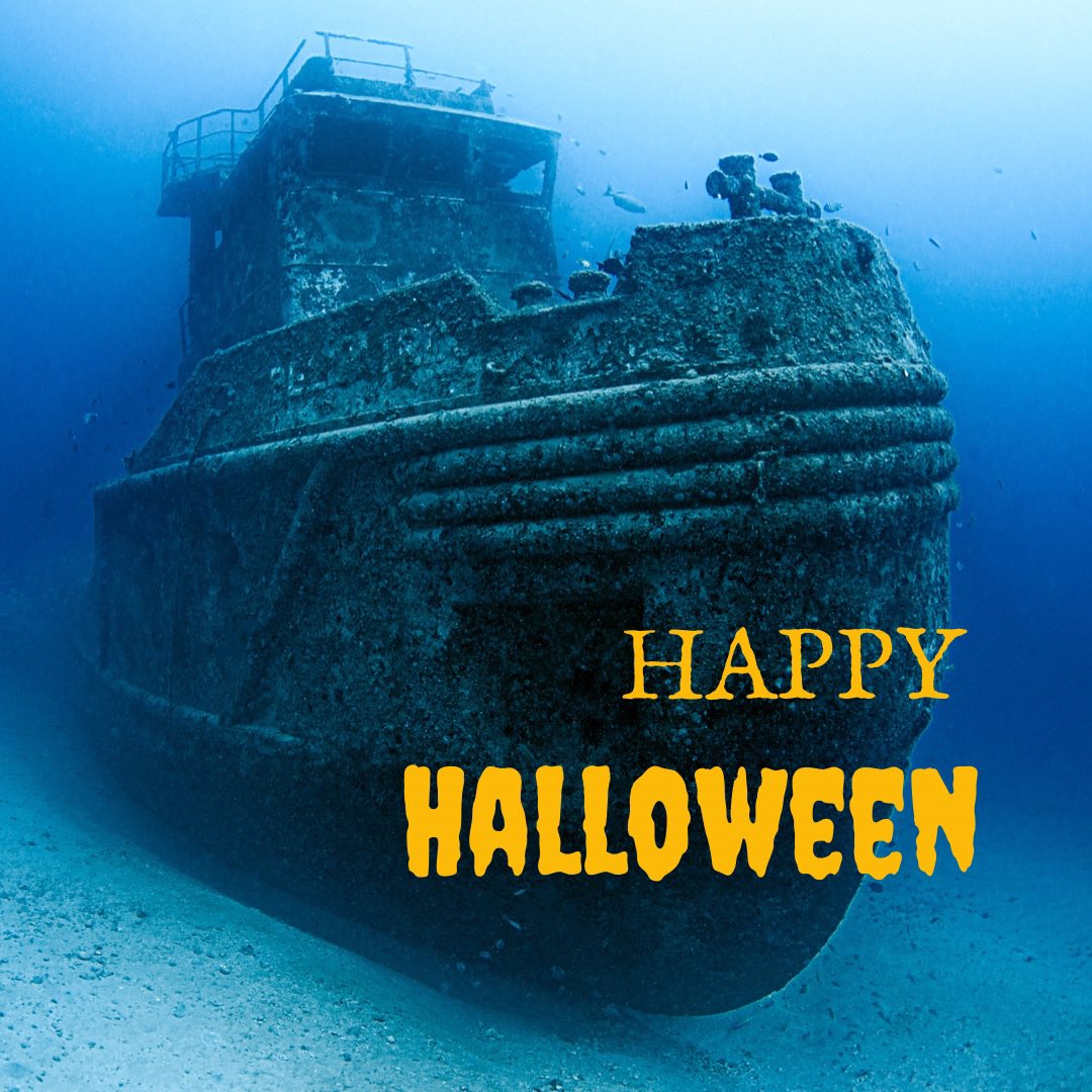 bigappledivers tweet media