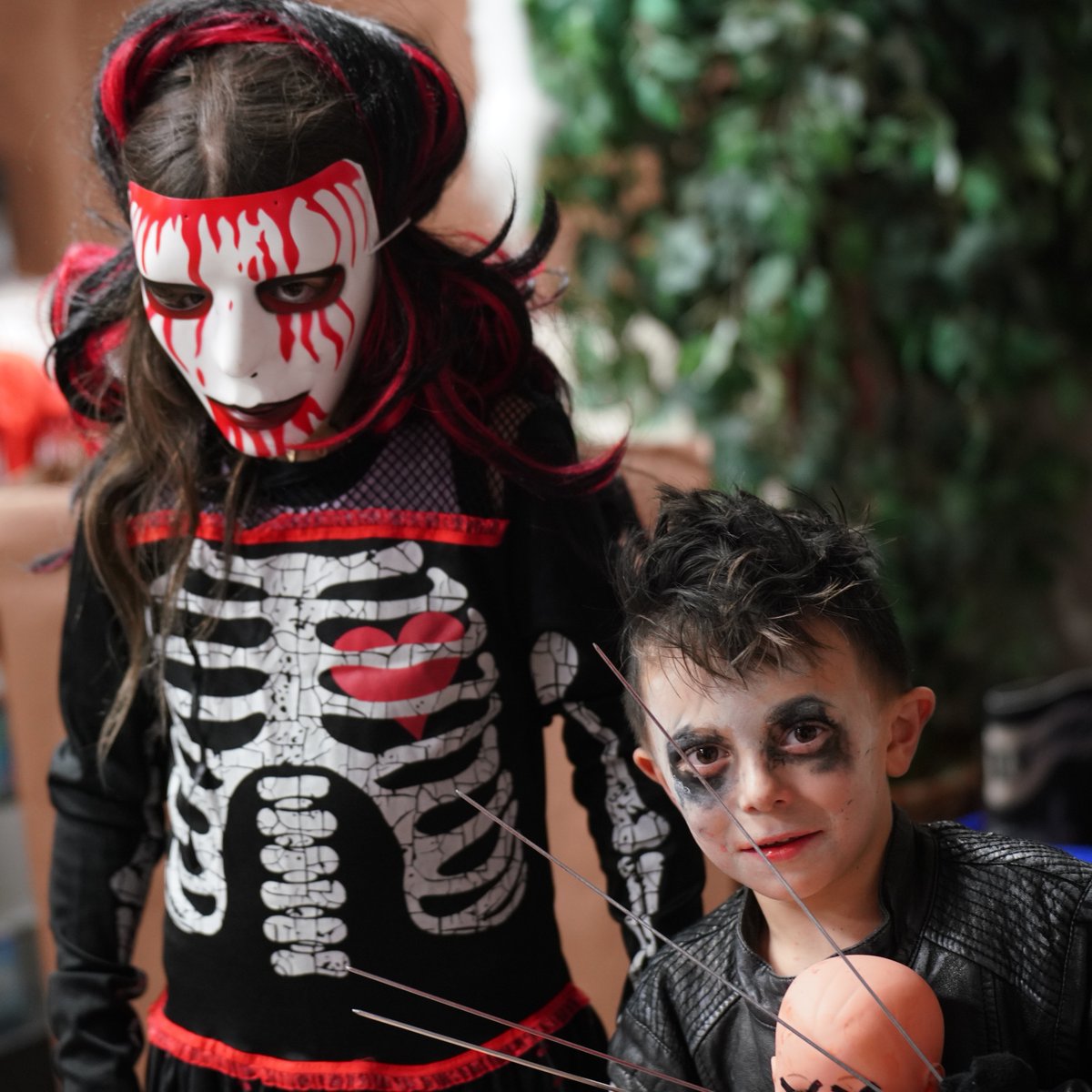 The Dub Sports Zone tweet media