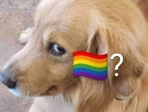 Max 🍞🐶 🔜 Furizon (goh) 🇮🇹 tweet media