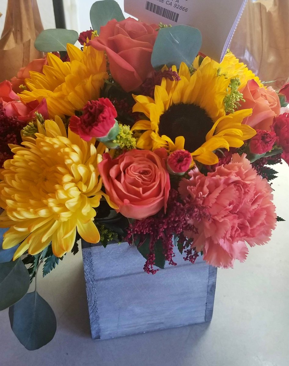nikkilopezzzz's tweet photo. the prettiest birthday flowers I’ve ever gotten #orangelight https://t.co/DPGkbw3nJI