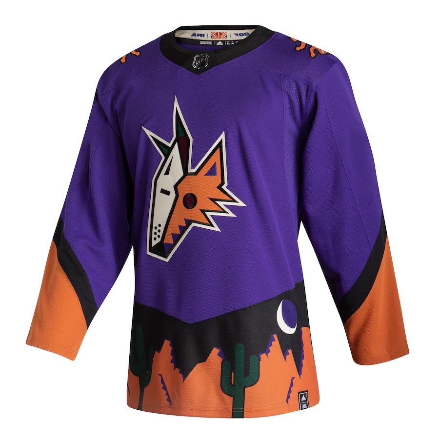 3rd Reverse Retro Jersey Unboxing Arizona Coyotes Space Coyote