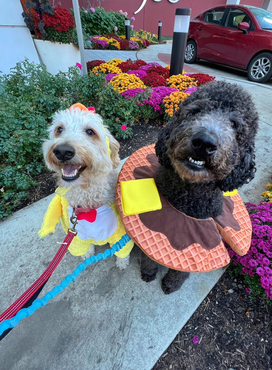 Jordin ☕️ westloopsoul.eth (she/her) tweet media