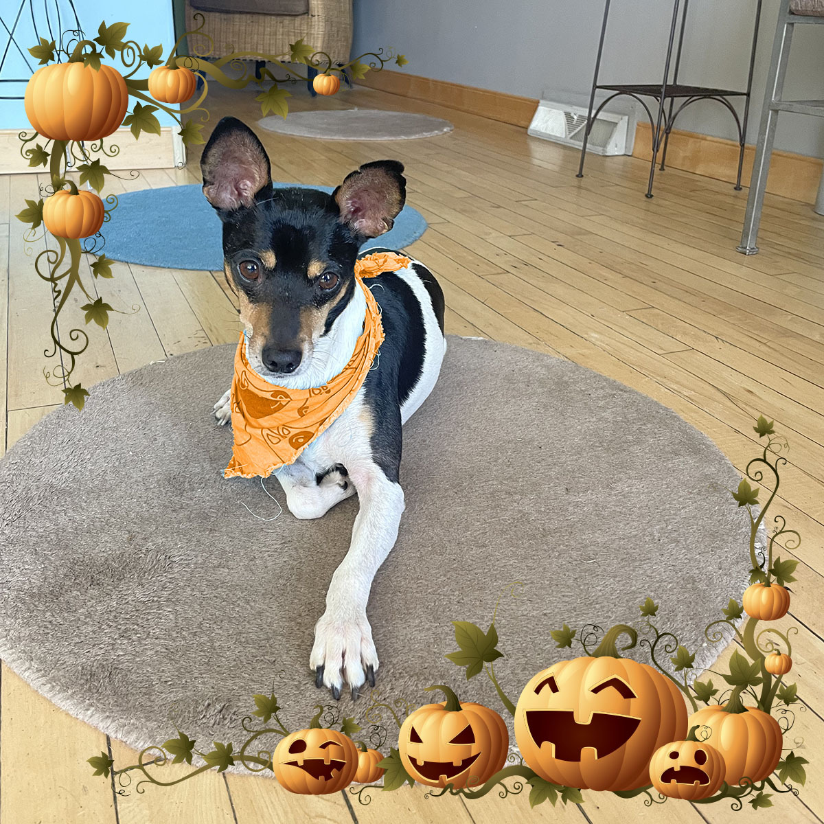 We're brewing up some digital magic this All Hallow's Eve! 🧙‍♀️🐈‍⬛ We promise it's not scary 🎃 Have a spooky holiday! 🎃