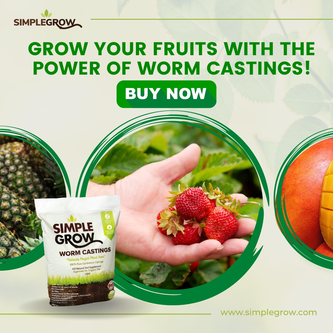 Simple Grow tweet media
