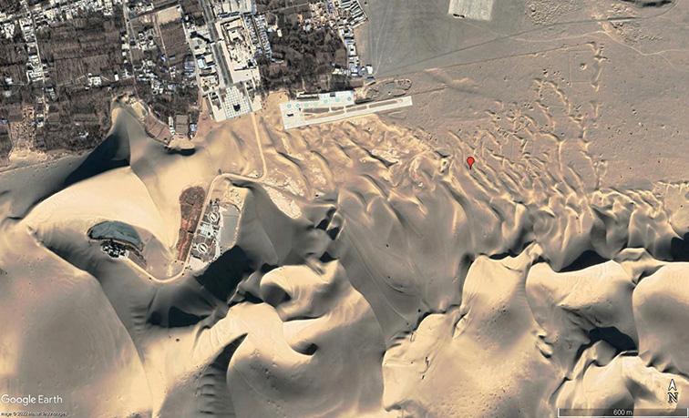 Jo Nield tweet media