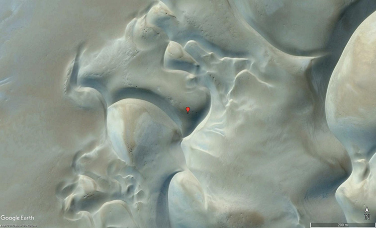 Jo Nield tweet media