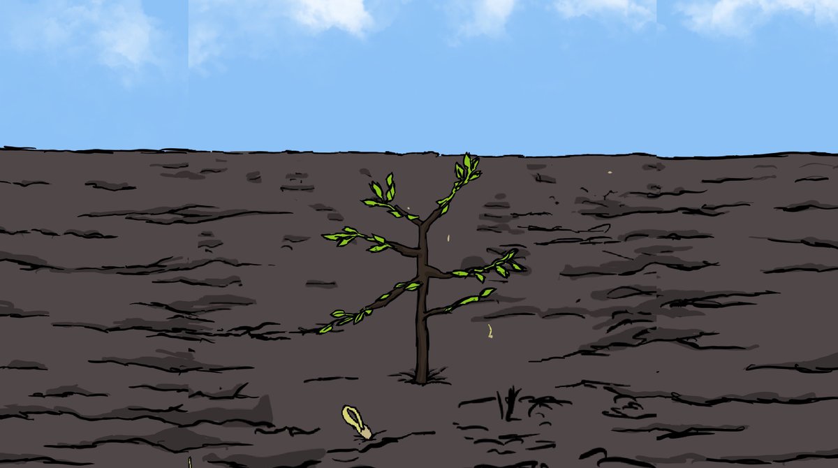 The plant is growing... 

How many leaves can you count now? 

Some may seem to have some parasites unfortunately, but we will get rid of them soon enough 👀😈

3/10

#corntownwtf