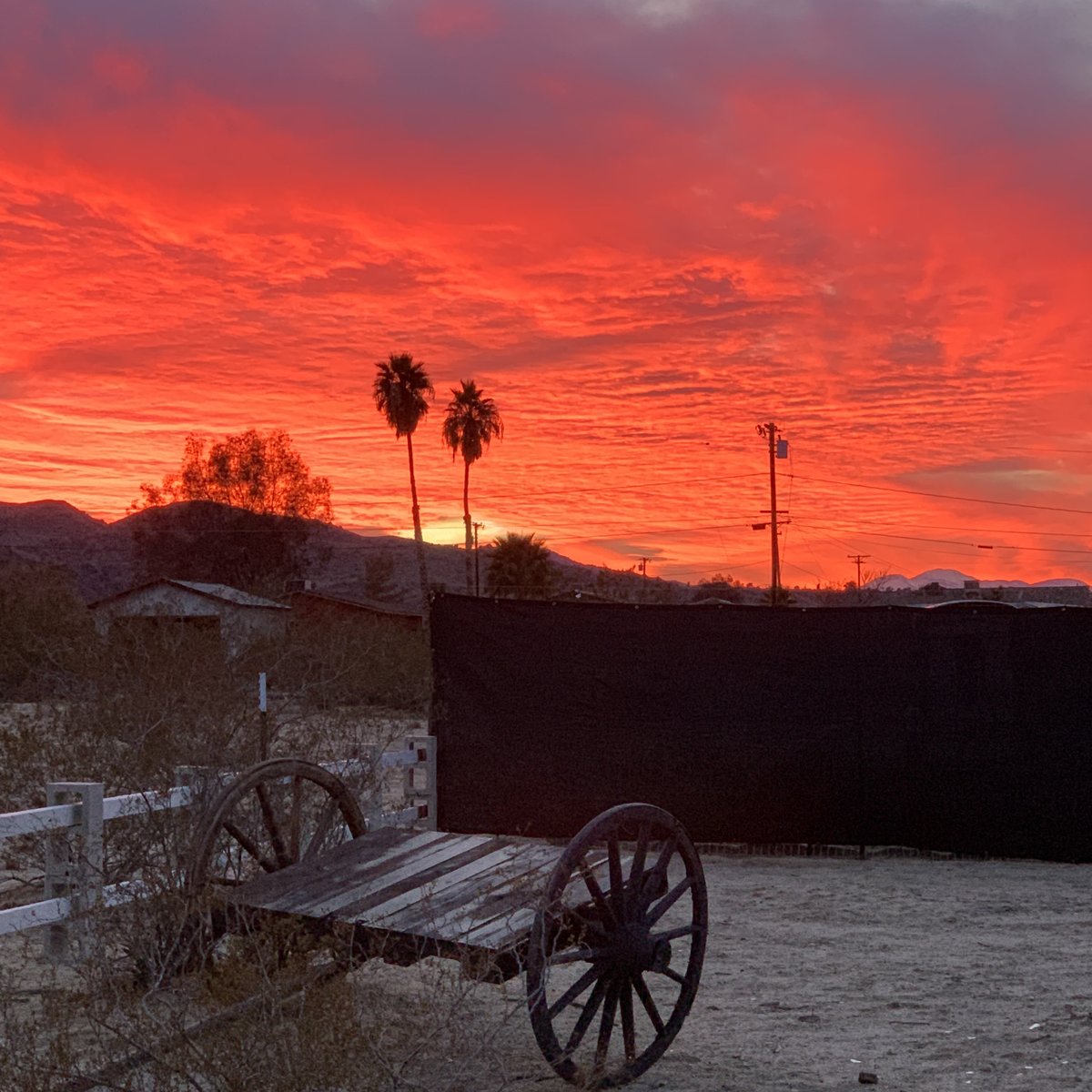 This is real. Really. #NoFilter

Experience Star Dune Ranch for yourself! ✨🤠🌵

Click the link in our bio or starduneranch.com/quick-links/

#joshuatree #airbnb #travel #airbnbhost #vacation #booking #sunset #vrbo #vacationrental #holiday #nature