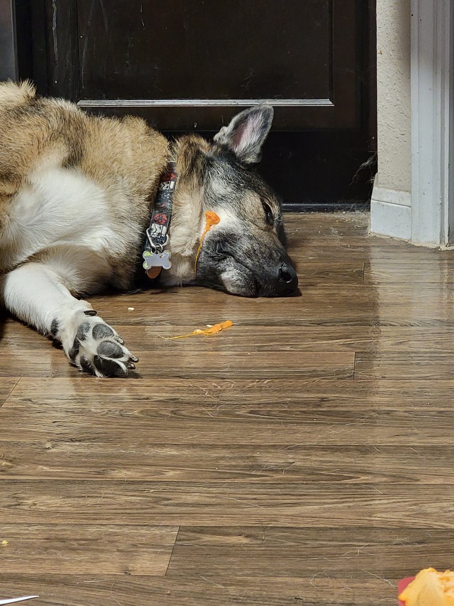 When pumpkin hits FRFR!